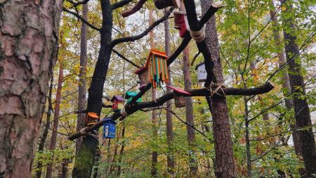 Vilinsko mesto_od zahoda